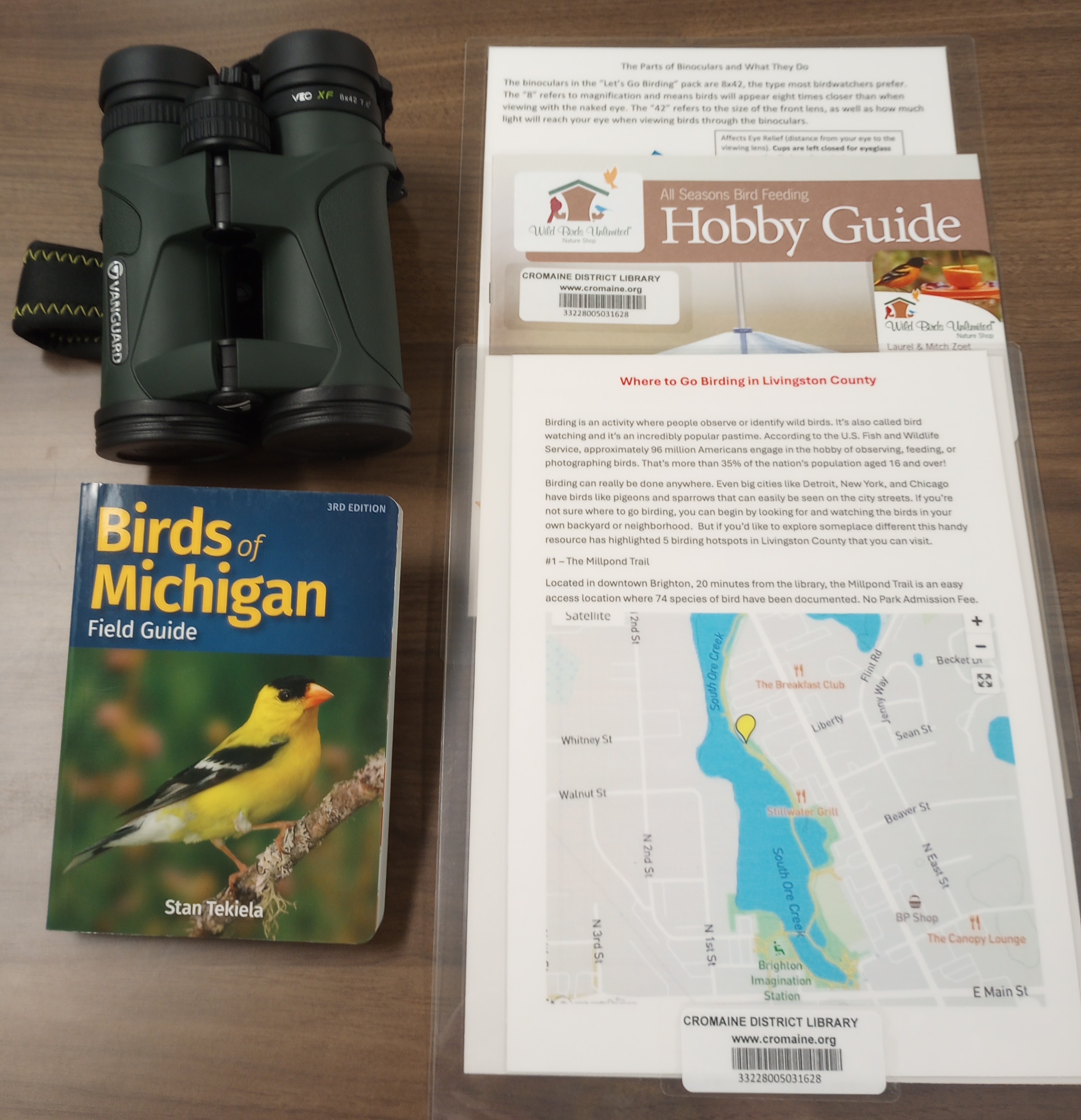 Image of "birds of Michigan" book, binoculars, a binocular guide, hobby guide, and "where to go birding in Livingston county" handouts. 