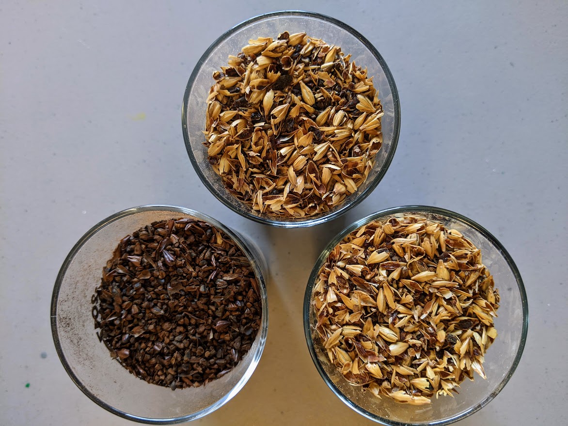 Three types of roasted malts in glasses. 