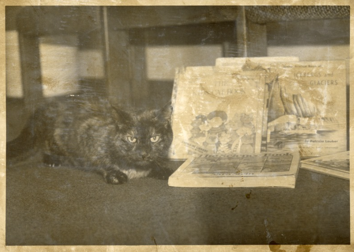Rachel crouching next to a collection of books. 