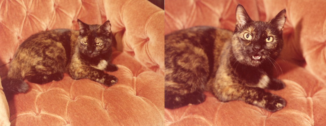 Two stills of Rachel lounging in an orange armchair. 