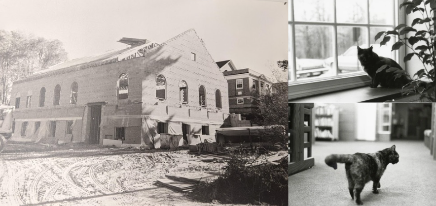 A photo of the 1980 building, under construction, beside two stills of Rachel the cat in the new addition building.