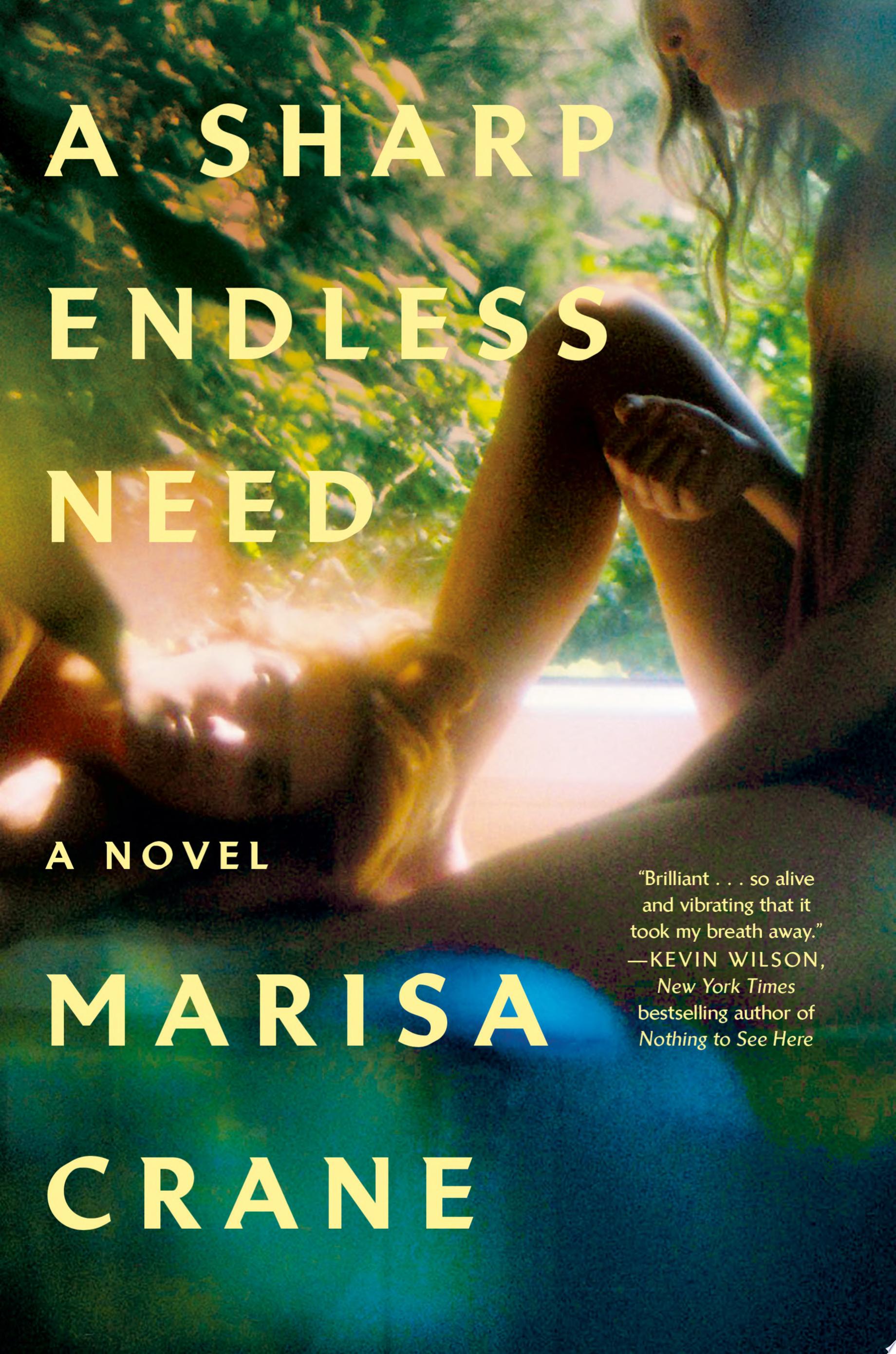 Book cover for "A Sharp Endless Need"