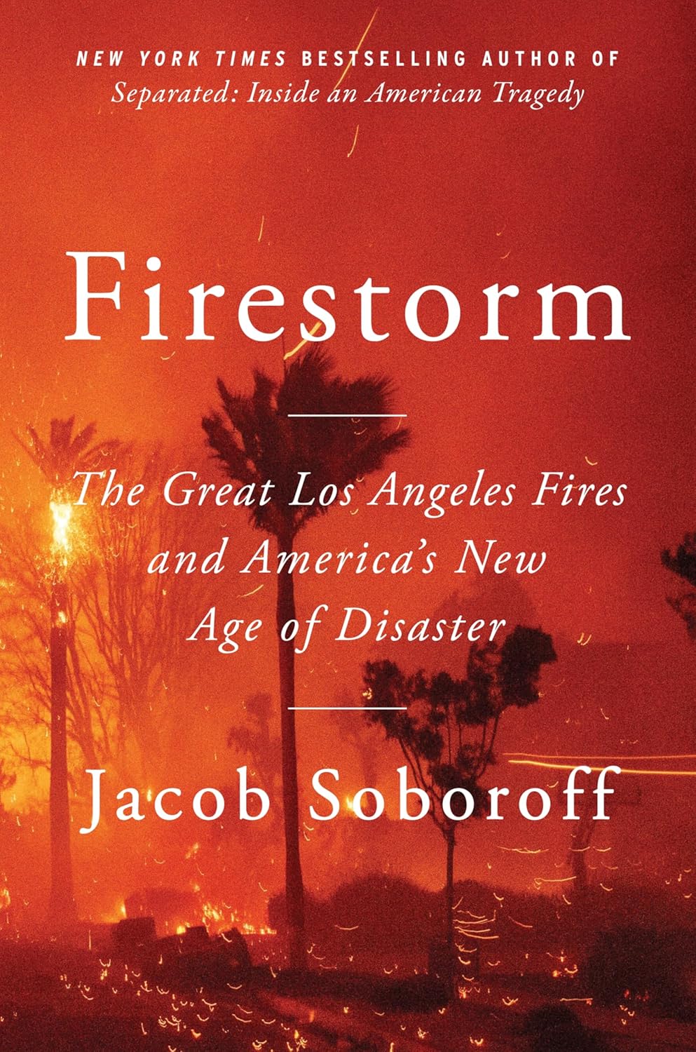 Image for "Firestorm"