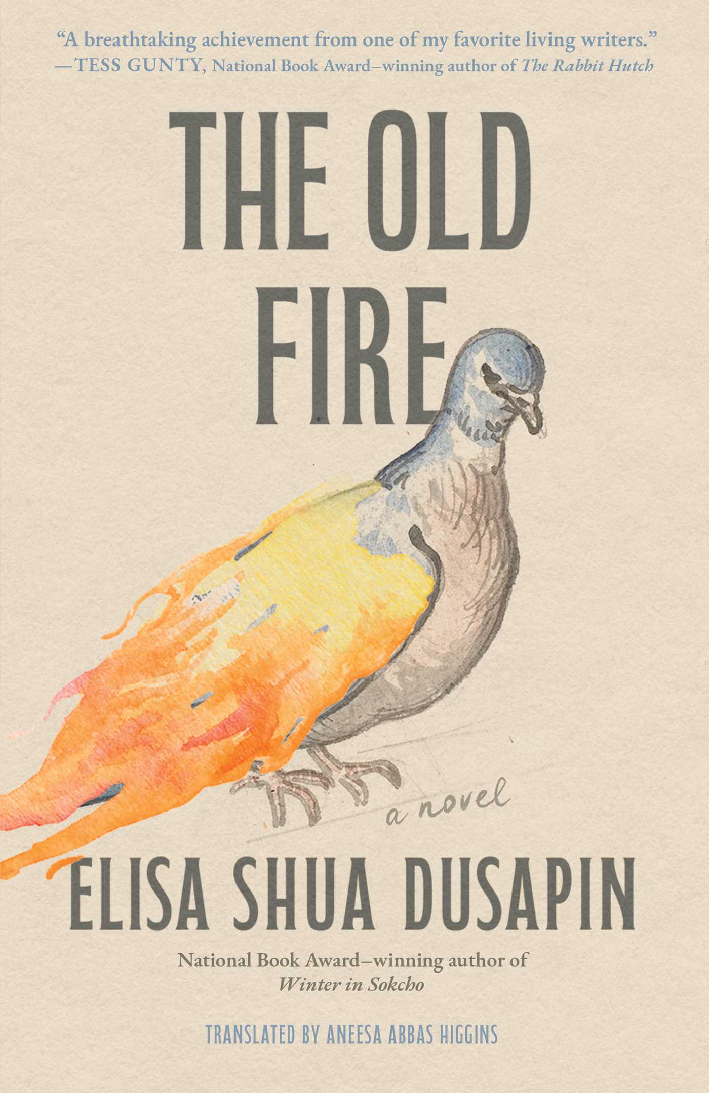 Book cover for "The Old Fire" 