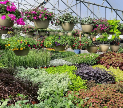 Get Inspired! Earth Day 2024