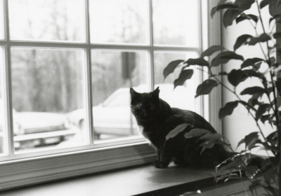 Rachel sitting at a windowsill, in black and white. 