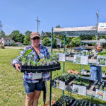 A customer holds a tray of plants during the Native Plant Sale in 2025.