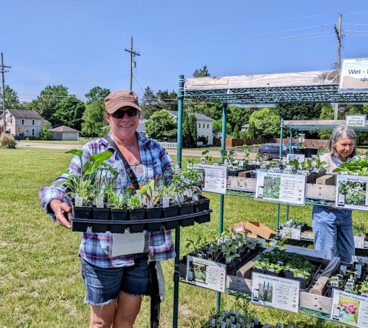 A customer holds a tray of plants during the Native Plant Sale in 2025.