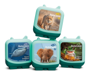 displays four green squares with images of a cheetah, a whale, a elephant, and a frog on the front