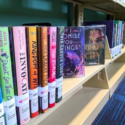 A colorful collection of YA books on the shelf in the Teen room of the Library. 