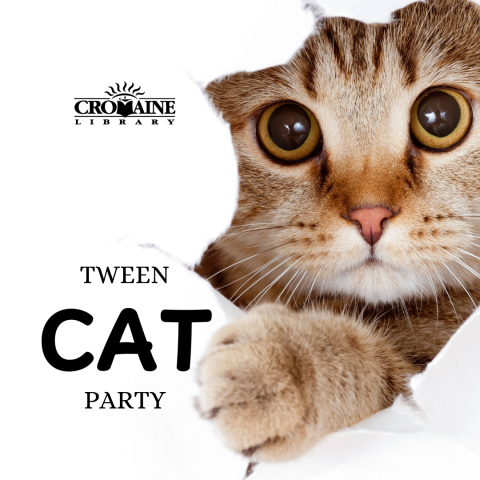 A program graphic featuring a car poking through the white background. 