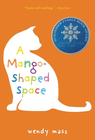 Book cover for A Mango Shaped Space. 