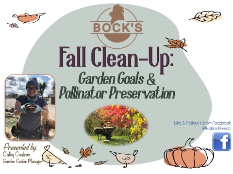 Fall Cleanup flyer. 