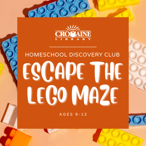 Program graphic featuring Legos. 