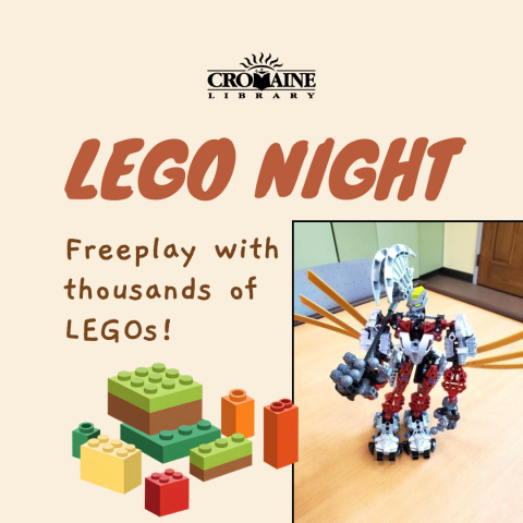 Lego Night graphic. 