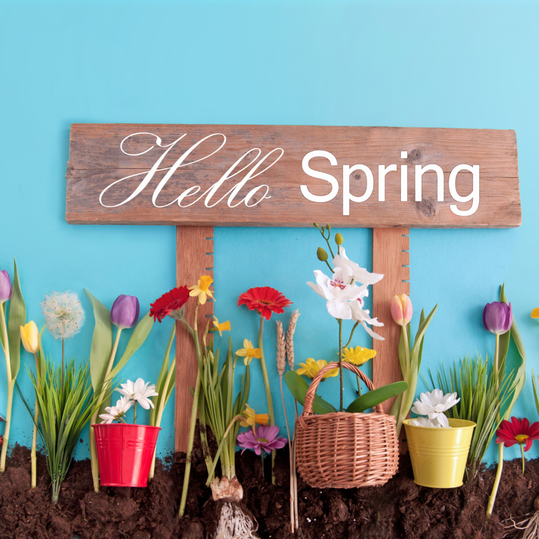 A wood sign that says "Hello Spring" behind a variety of flower pots. 