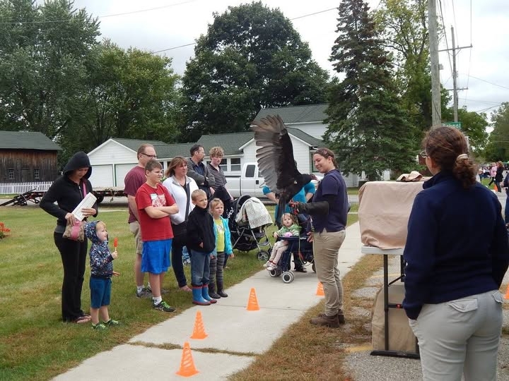 A presenter holding a turkey vulture on the South Lawn. 
