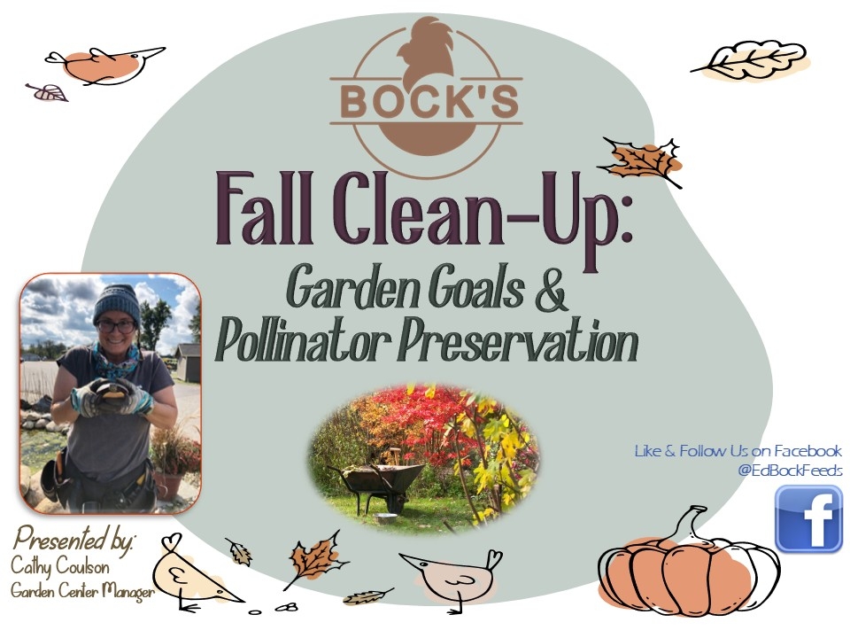 Fall Cleanup flyer. 