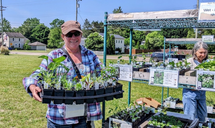 A customer holds a tray of plants during the Native Plant Sale in 2025.