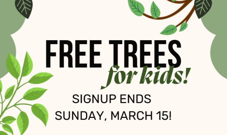 Free trees for kids